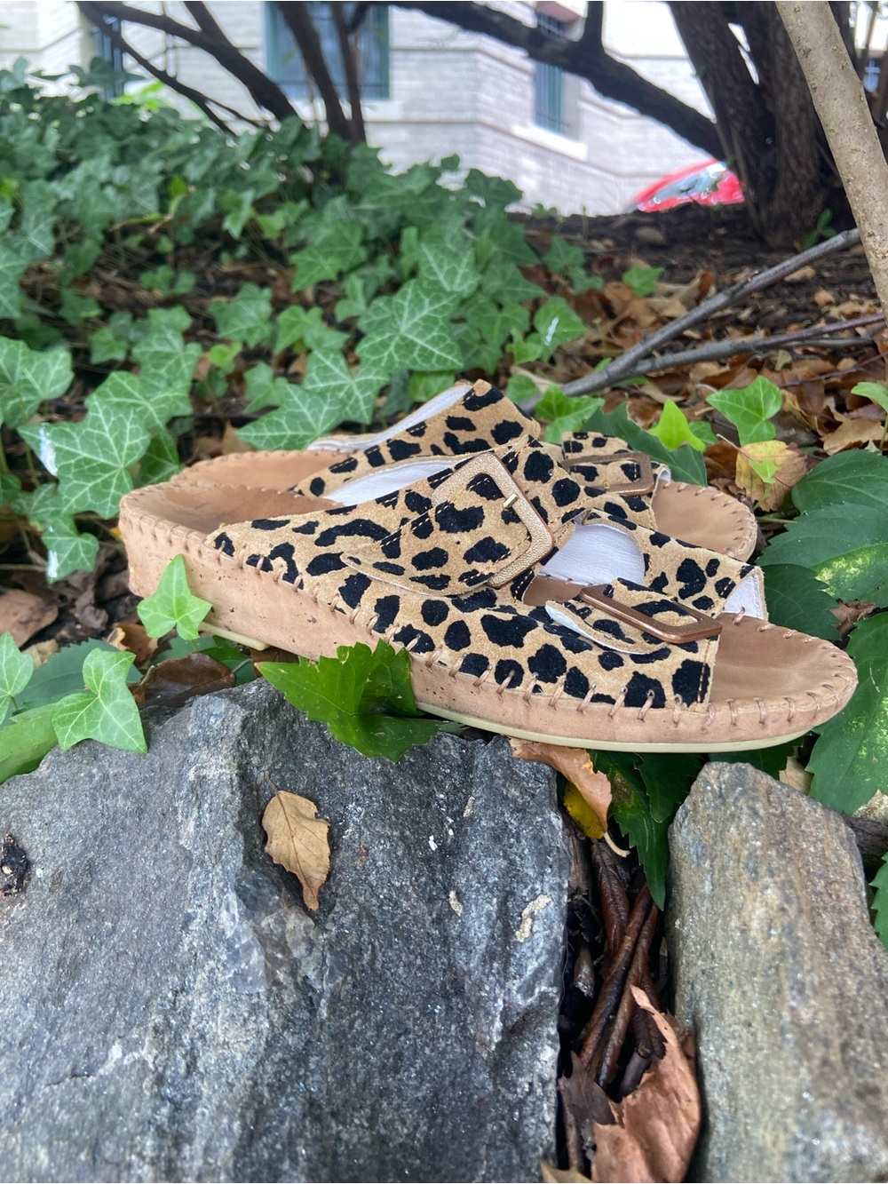 La Plume Leopard Print Slide Sandal with Adjustment buckles Made in Italy